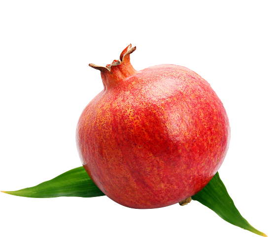 Pomegranate PNG83922.v1